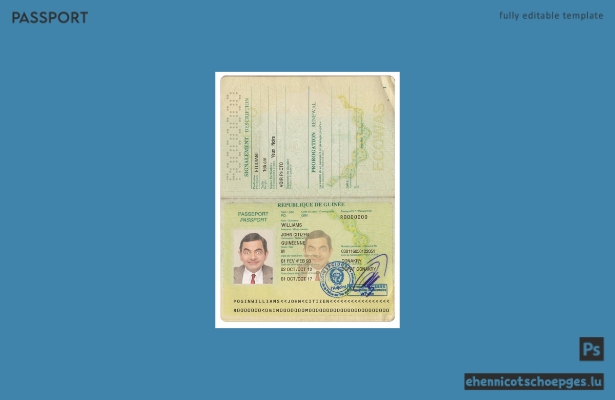 Guinea-Pass Version 2 – Beispielvorschau